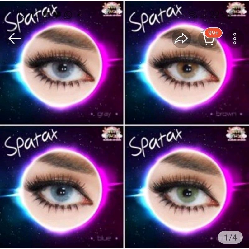 SOFTLENS SPATAX/Lensa mata