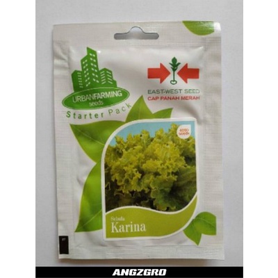 Bibit Benih PANAH MERAH Sayur Selada Hijau Karina 400 Biji