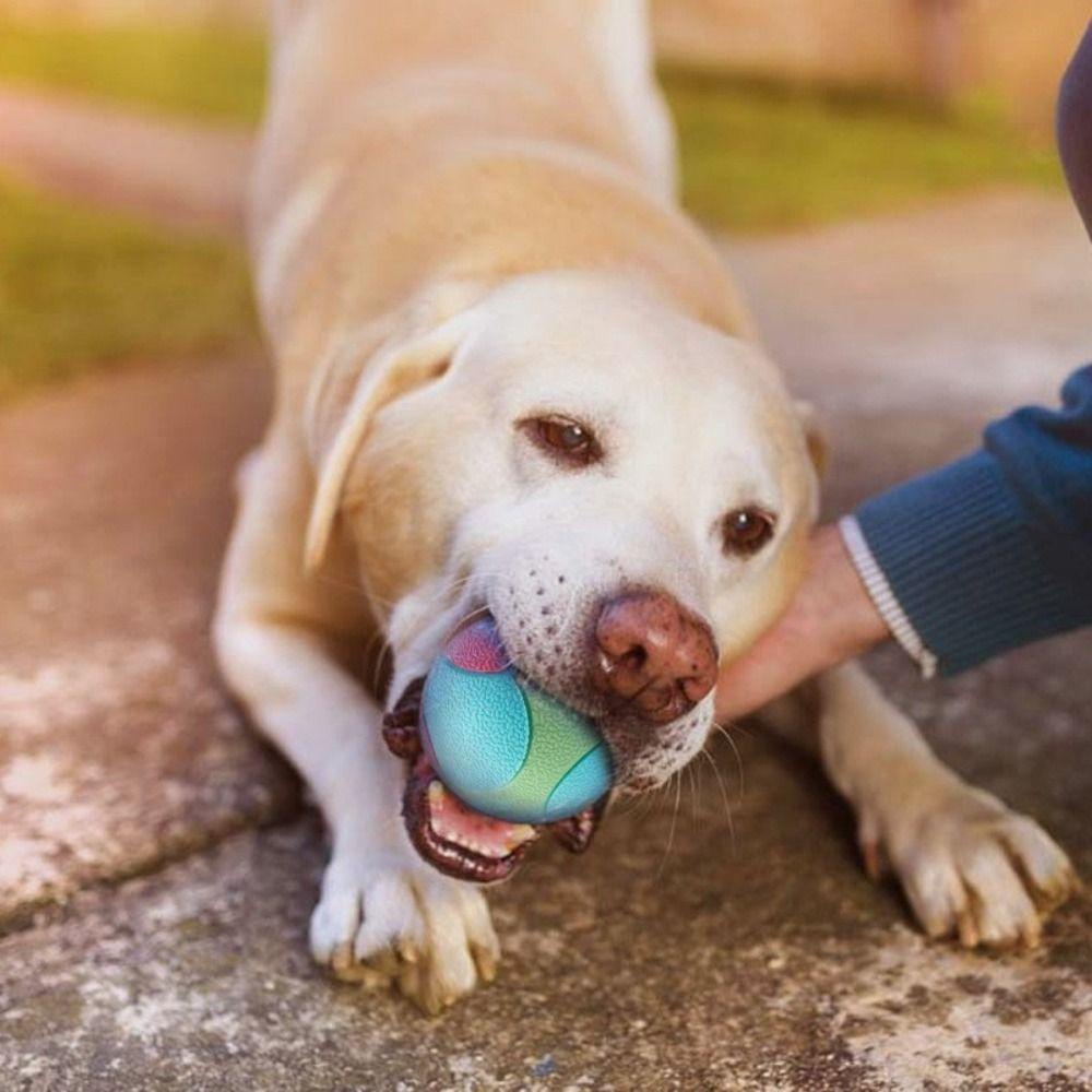 Solighter Mainan Anjing Pembersih Gigi Aksesoris Hewan Peliharaan Interaktif Pet Molar Toys