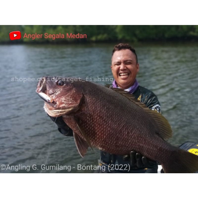 Pencil WTD Toman Realis 10cm 15gram - Umpan Casting Toman Top Water Popper replika duo realis