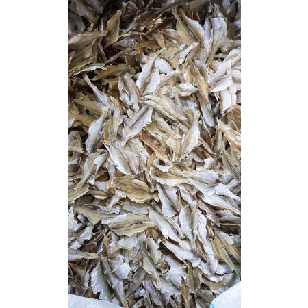 

Ikan Kerupuk/Kasai