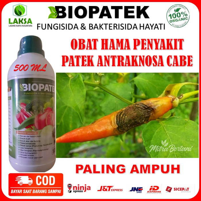 Fungisida BIOPATEK 500 ML Obat Patek Antraknosa - Obat Semprot Patek Jamur Antraknosa Ampuh - BIOPAT