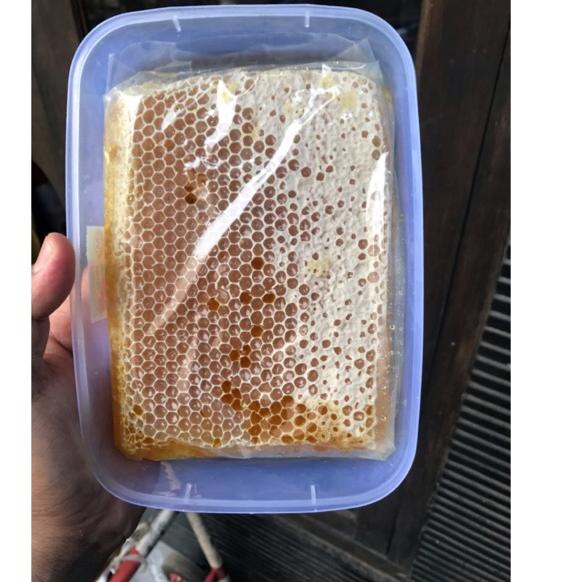 

Terlaris Today Sarang madu melifera langsung dari peternak nya 500 gr !!