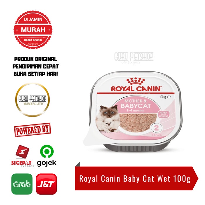 Royal Canin Mother &amp; Babycat Mousse 100g Royal Canin Baby Cat Wet 100g