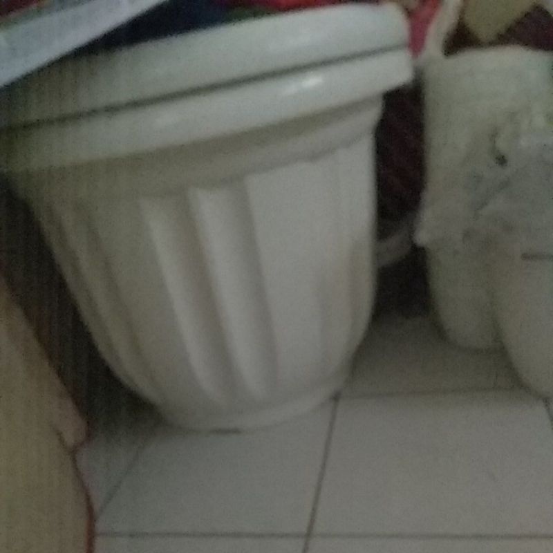 Pot Besar Pot ebony Buah ukuran 60 Putih