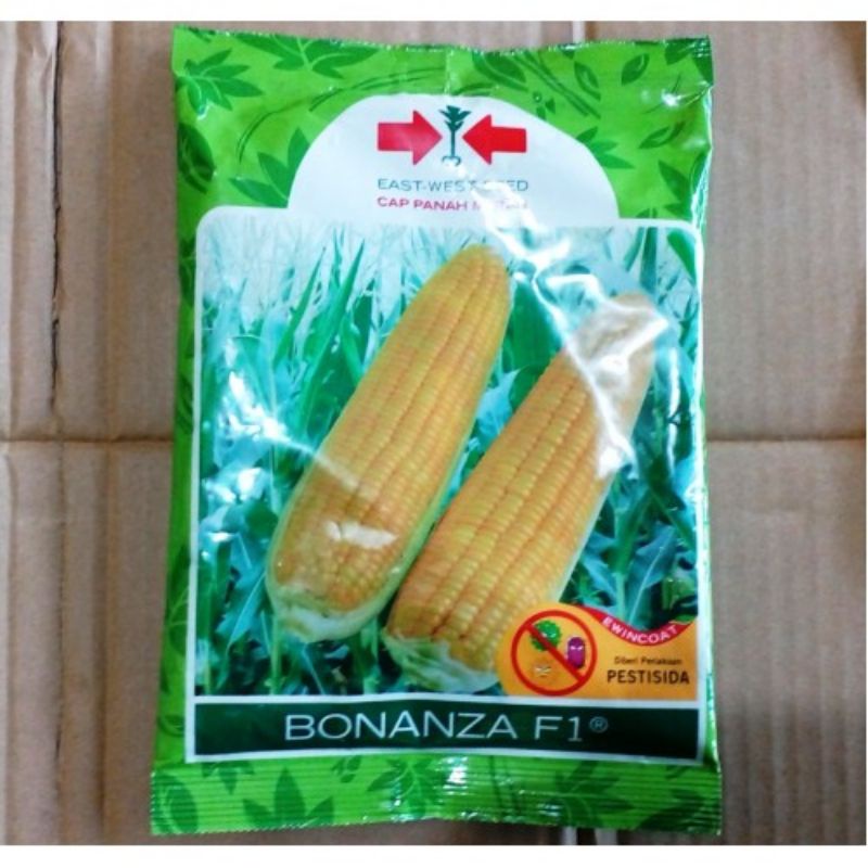 BENIH JAGUNG BONANZA F1