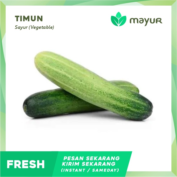

Timun Lalap Segar 3 pcs