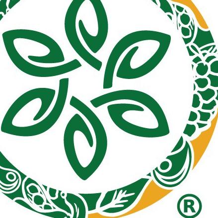 

11.11✔️Genki Plant Sunflower Seeds - 1 Kg|RA8