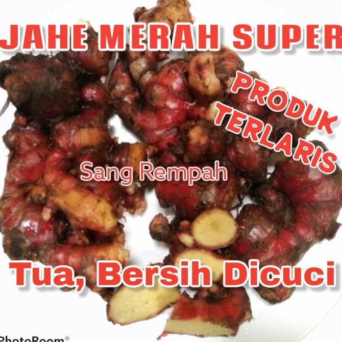

PROMO!!! Jahe Merah Super Segar 1KG