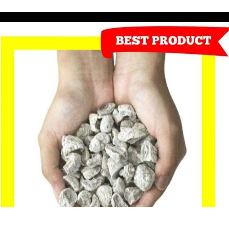 

Top Seller--Kiamboi Tanpa Biji ( Kiamboy non Biji)