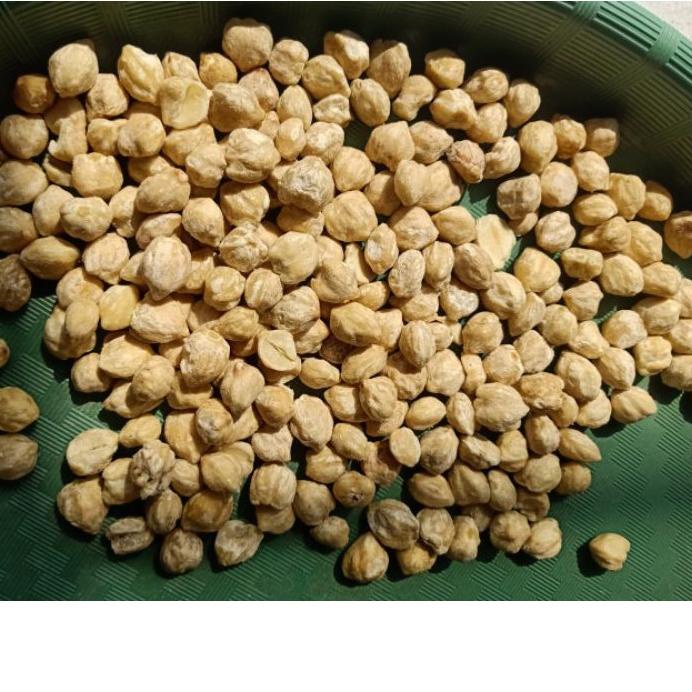 

COD✔️Kemiri Bulat Medan 1KG Kilo Fresh Kualitas Terbaik|RA3