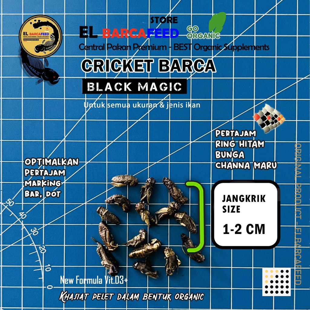 CRICKET BARCA [BLACK MAGIC] JANGKRIK SUPER - Pakan Pelet Ikan Channa, Koki, Arwana, Louhan, Koi &amp; ikan hias lainnya