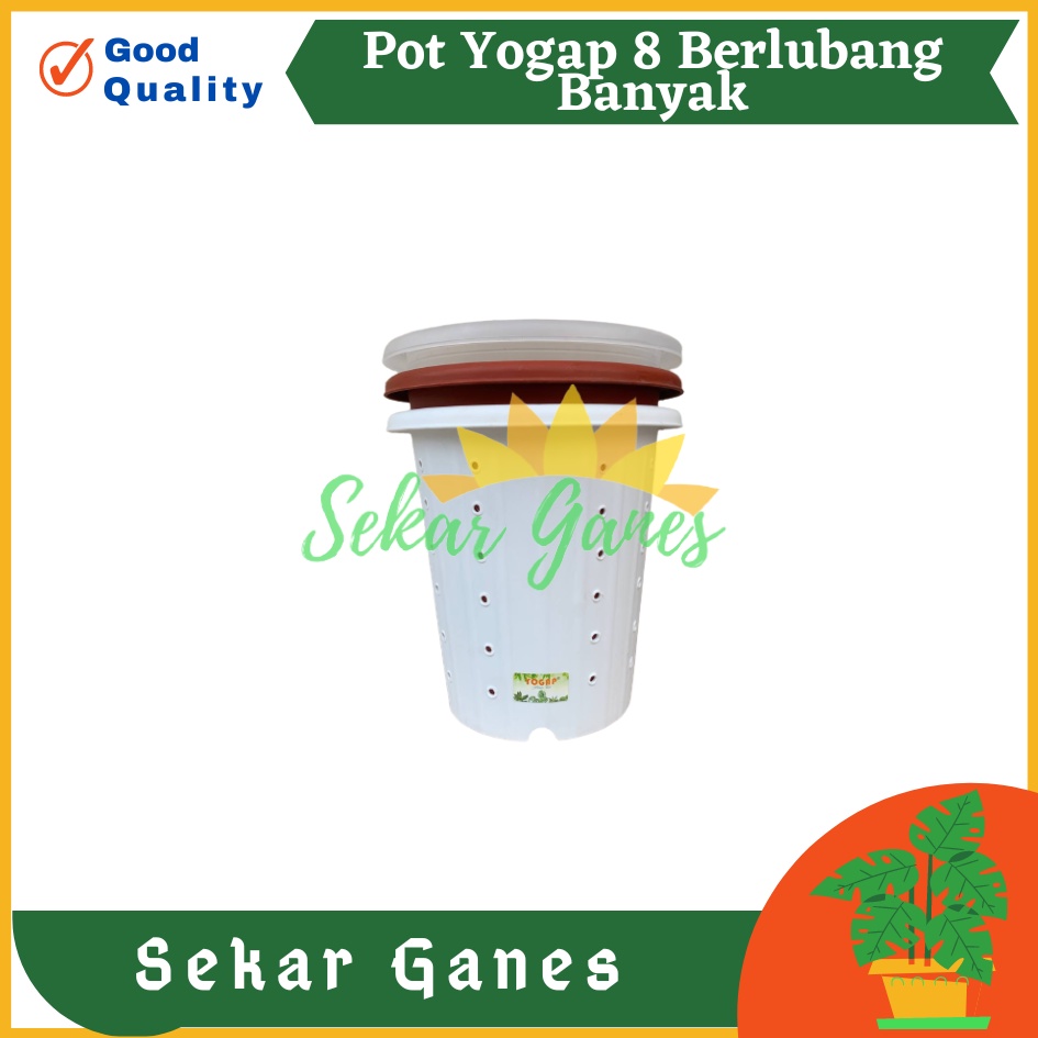 PROMO Pot Yogap 8 BERLUBANG Putih Bening Transparan Merah Bata Merah Coklat Terracota Terracotta-POT BUNGA YOGAP YPT 13 BERLUBANG BENING / TRANSPARAN PUTIH &amp; MERAH BATA | POT TANAMAN HIAS