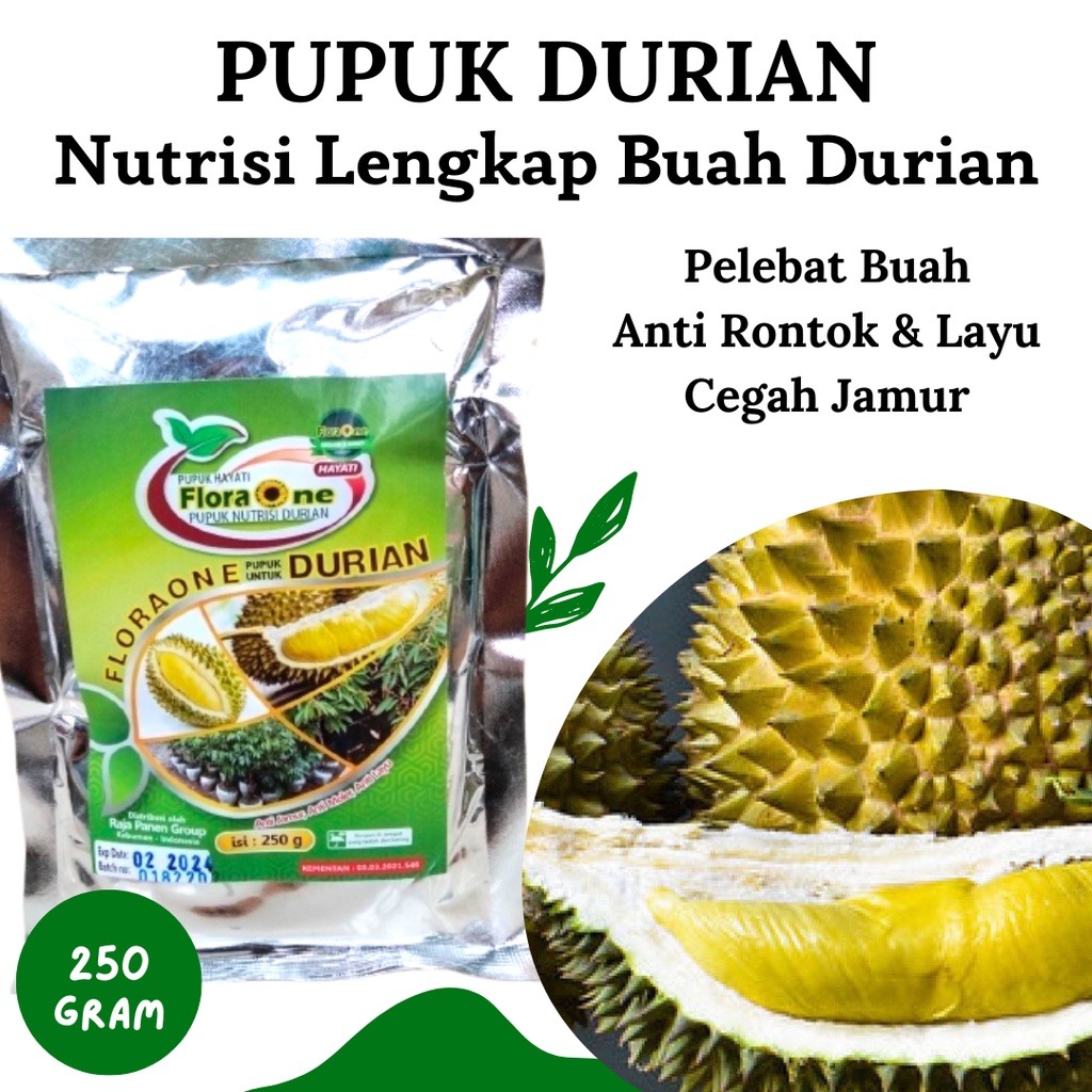 Pupuk Durian Montong, Pupuk Anti Rontok Buah Durian, Pupuk Durian Cepat Berbuah