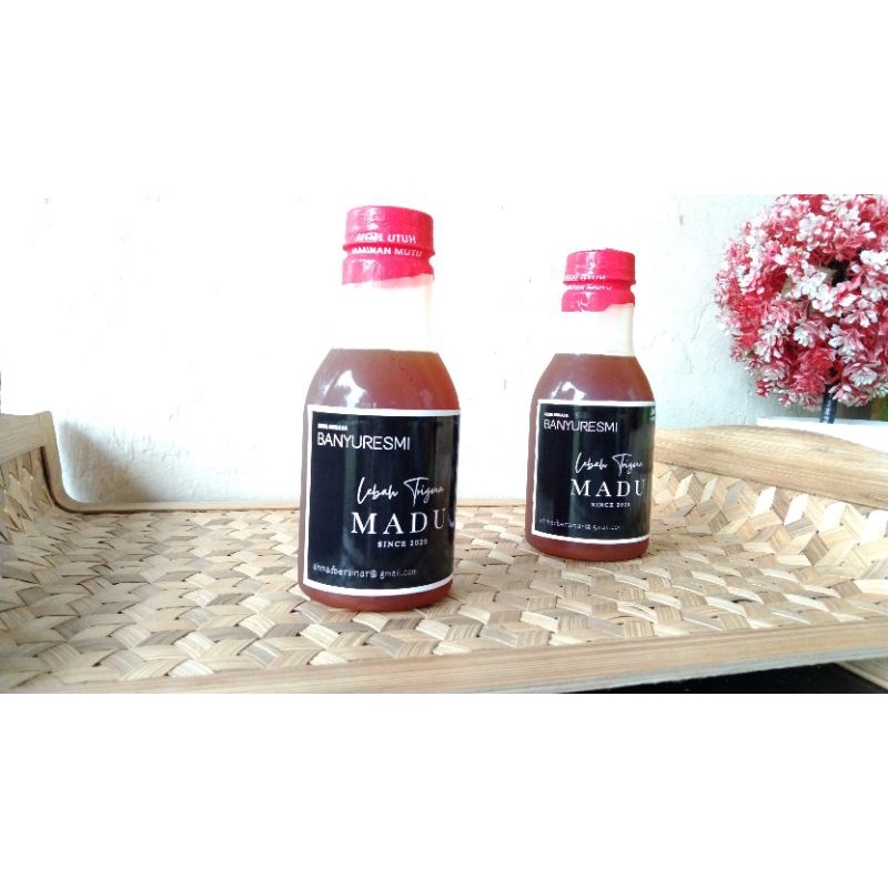 Madu Lebah Trigona