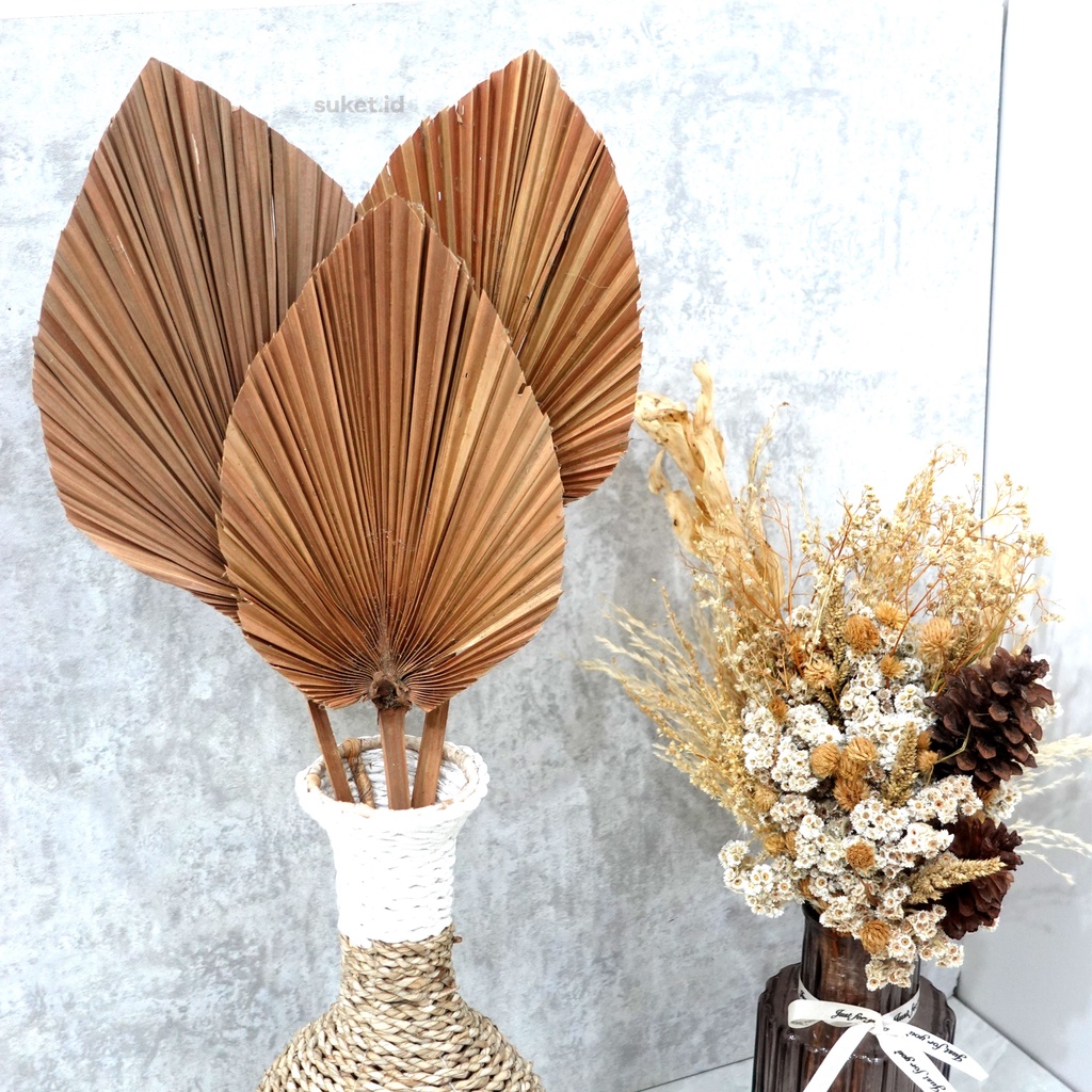 DAUN PALEM KERING / DAUN PALEM