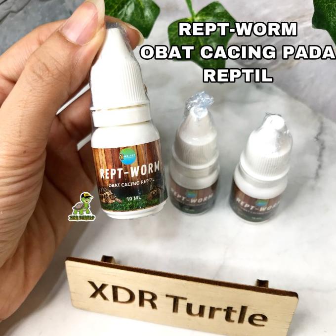 Reptworm Obat Cacing Reptil Kura Darat Sulcata Forsteni Pardalis