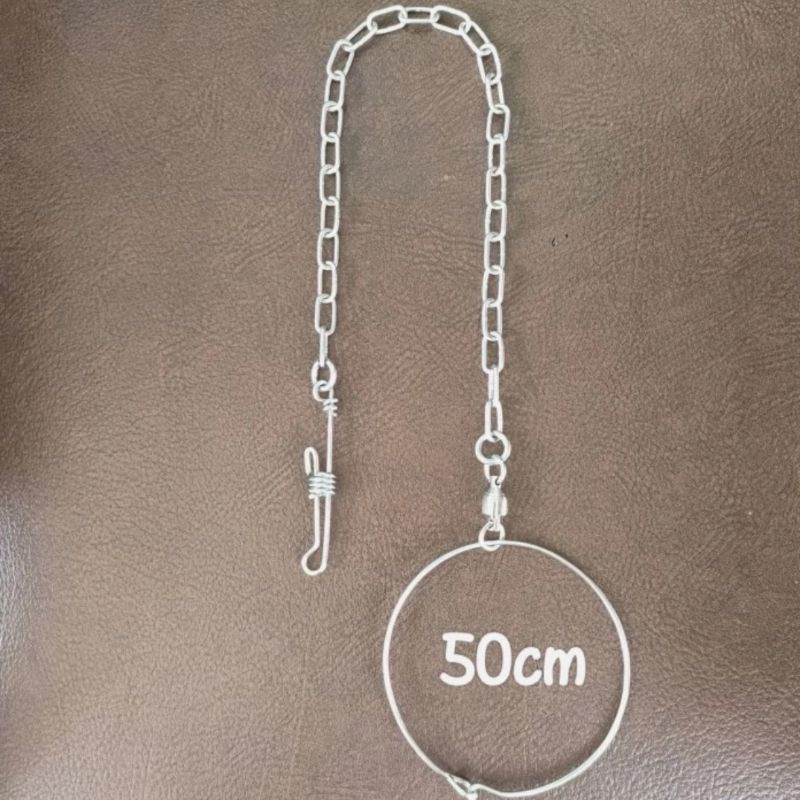 Rantai Burung Macaw dan Ring Kaki Omega