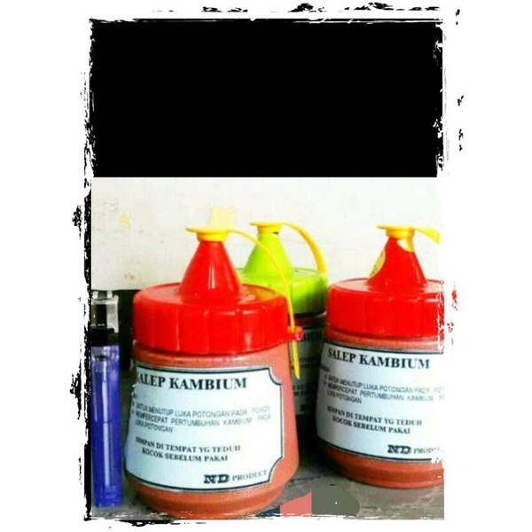 Alat Bonsai, Salep Kambium Original ND produk Terbaik.