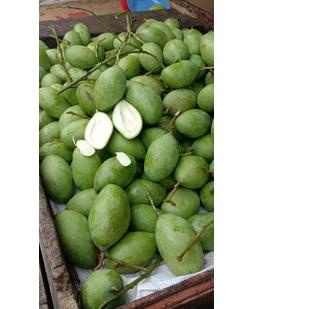 Mangga manalagi simanalagi mentah muda mengkel matang 1 kilogram request