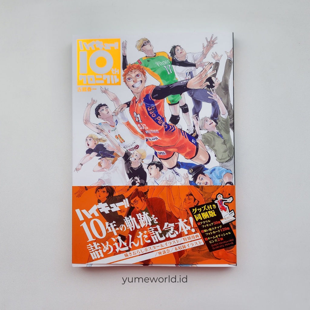 [READY STOCK] Haikyuu 10th Chronicle Book