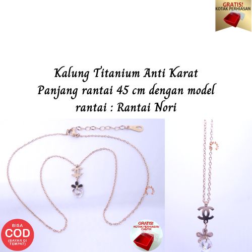 PROMO Gratis Kpotak Perhatian - Kalung Titanium anti karat Kalung Wanita Christy Model Terbaru - Lovelybutik