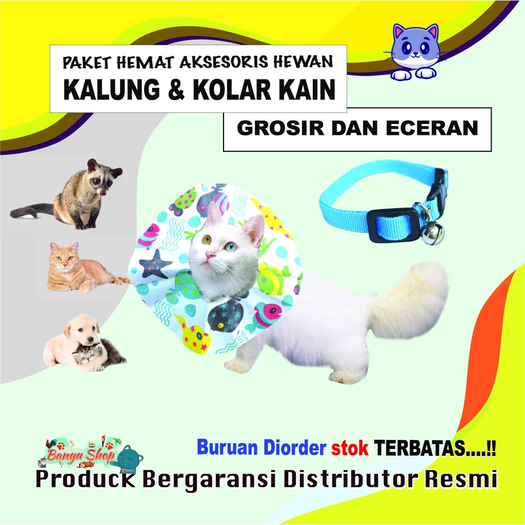 PAKET HEMAT-KALUNG KUCING DAN KOLAR-PELINDUNG MAKAN KUCING