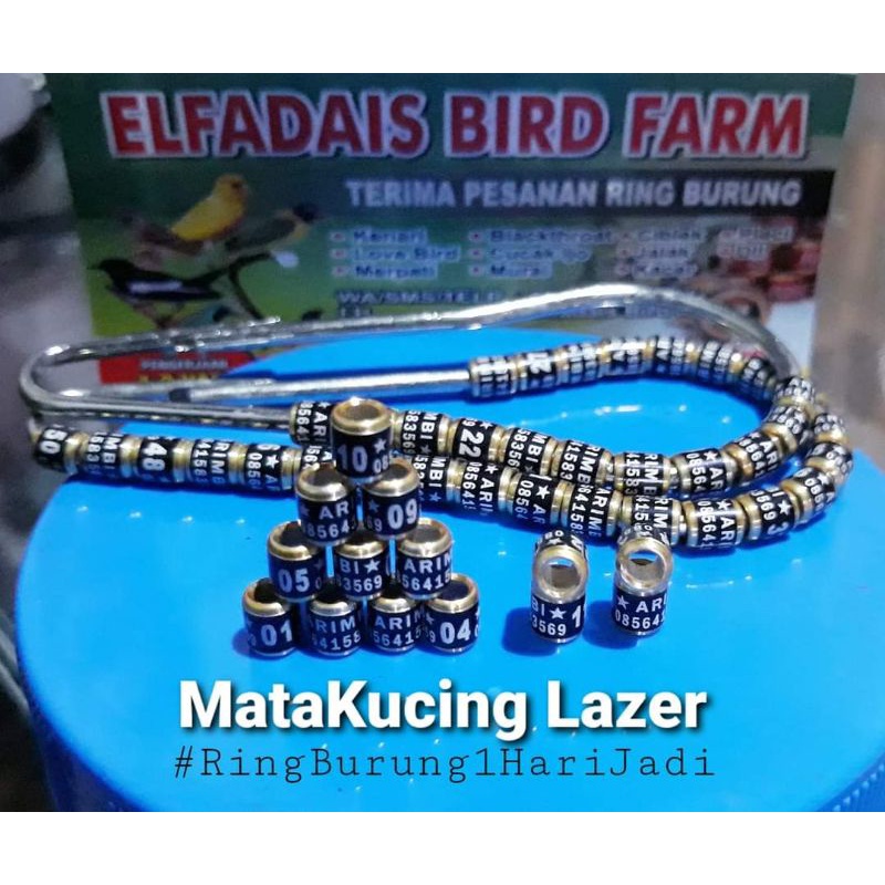 RingBurung 25Pcs MataKucing Lazer 1HariJadi