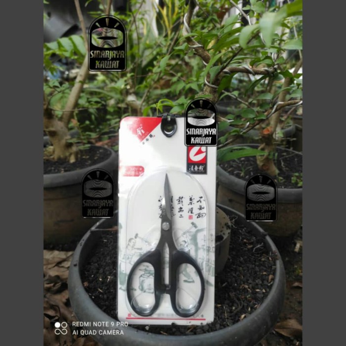 

Update Gunting Pruning Ujung Lengkung 5Inch Premium Quality Bagus