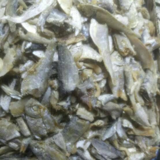 

10.10 SALE Ikan sampah campur 250gr gas !!