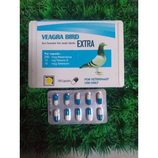 VEAGRA BIRD EXTRA MERPATI JUAL 1 TABLET UNTUK JANTAN YG TIDAK BISA MBUAHI TELUR BENING