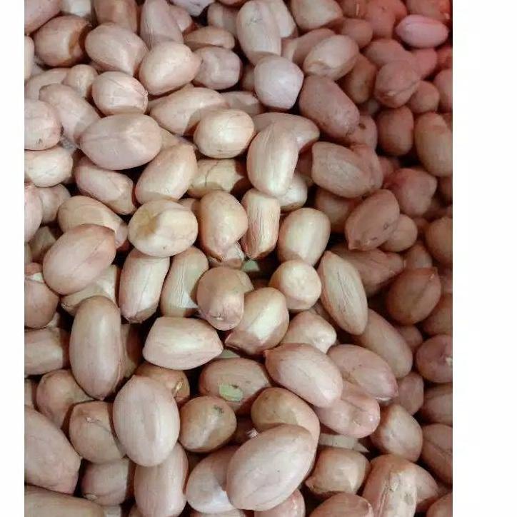 

READY ✅KACANG TANAH MENTAH KHAS MADURA KEMASAN 1KG|RA7