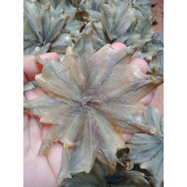 

Ikan sepat asin khas Banjarmasin(Kalimantan selatan)