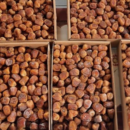 

FREE ONGKIR!KURMA SUKARI 3Kg|RA8