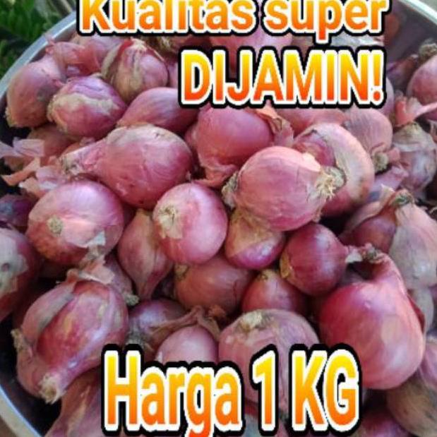 

ㆅV Bawang merah LOKAL BARU 3096 ☁