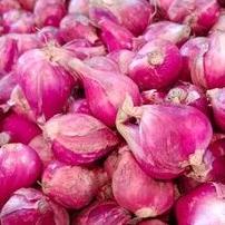 

10.10 ✨SALE✨ BAWANG BREBES SEDANG 1KG buruan