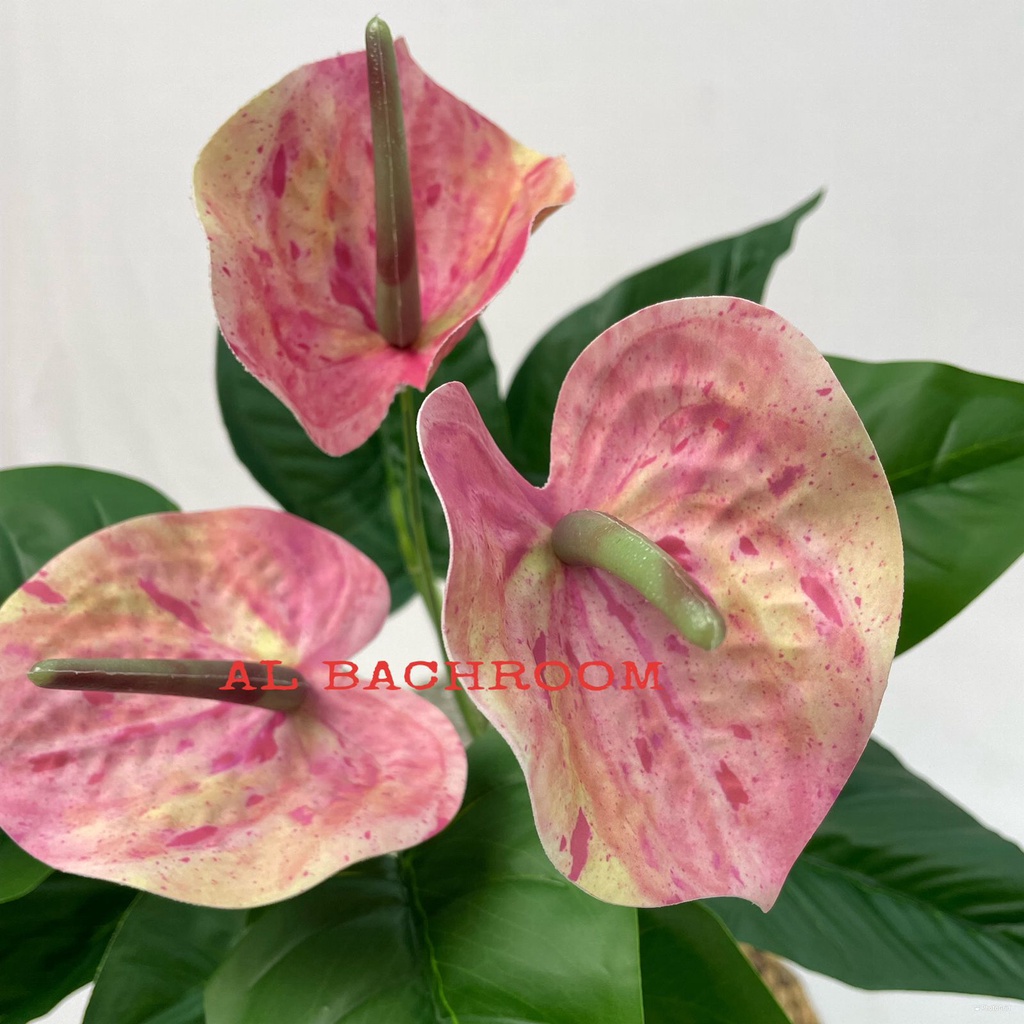 B8089 TANAMAN ARTIFICIAL ANTHURIUM LATEX PT-B3 TANAMAN HIAS PLASTIK HIASAN RUMAH