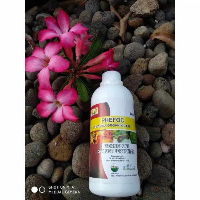Terlaris@# PESTISIDA ORGANIK PHEFOC HCS PEMBASMI ULAT BULU SEMUT KUTU DAUN/THRIPS .l<