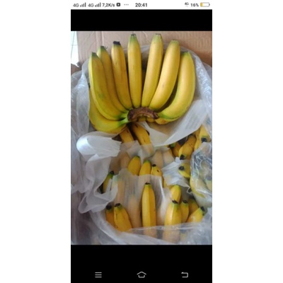 

PISANG IMPOR grade A dan B 1 dus murah untuk segala acara, isi -/+ 13 kg