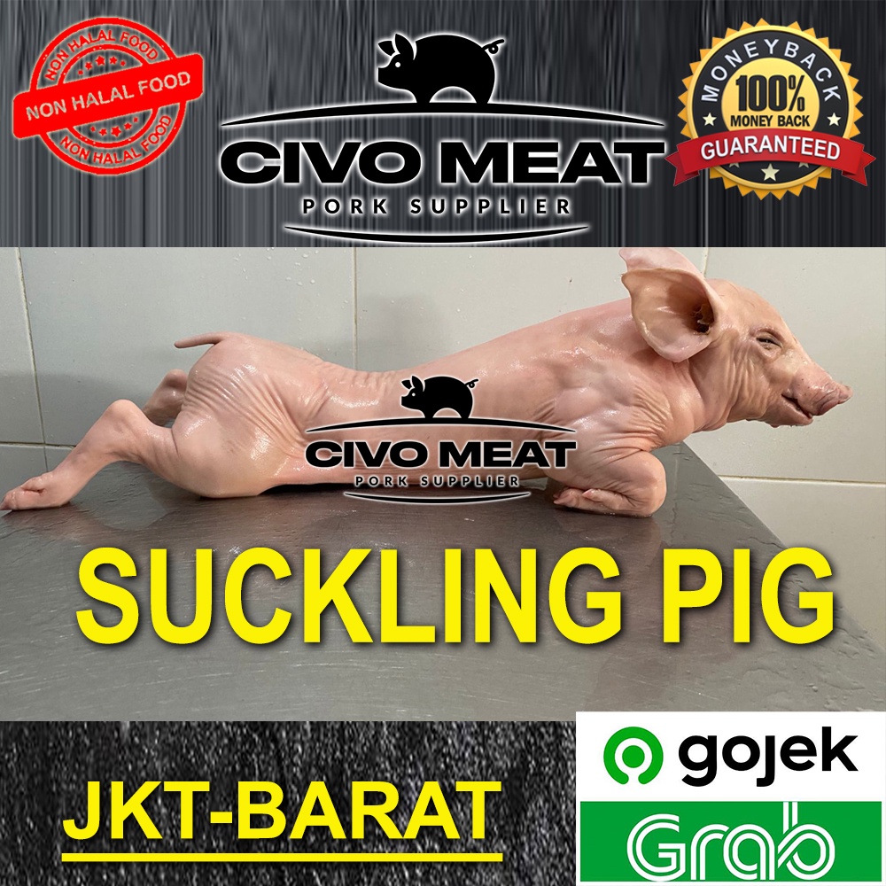 Suckling Pig / Anak Babi 1 ekor