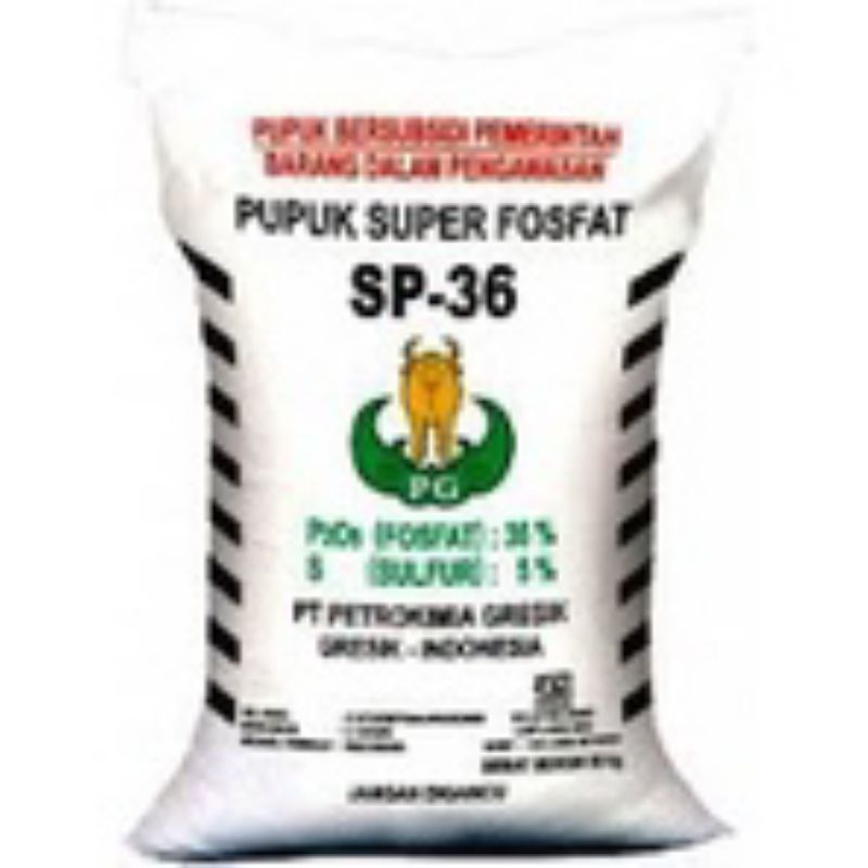 500gr Pupuk Super Fosfat - Tsp 36 penyubur dan pembenah tanah murah