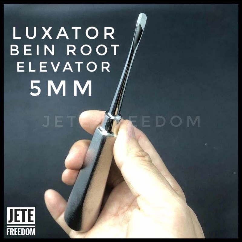 OLTEN PREMIUM Luxator Bein 5 mm Dental Elevator Root 5mm Dentis Alat Pencabut Gigi Luksator Stainles