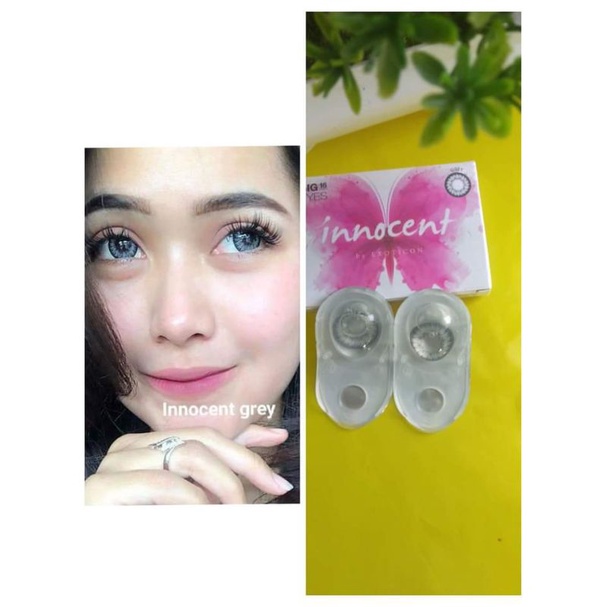 softlens innocent grey