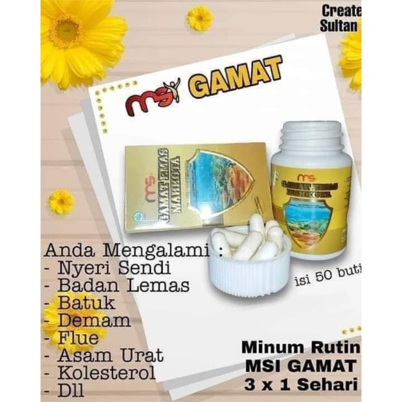 Gamat Emas Teripang MSI