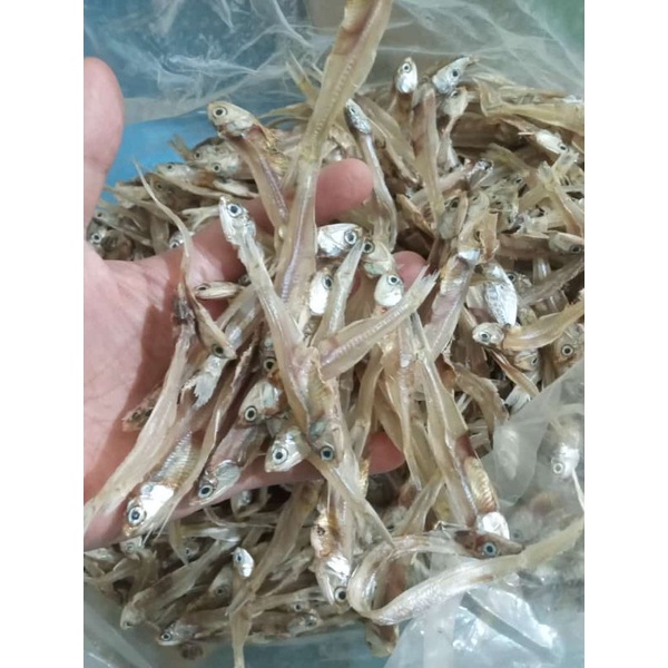 

ikan teri tawar khas lampung