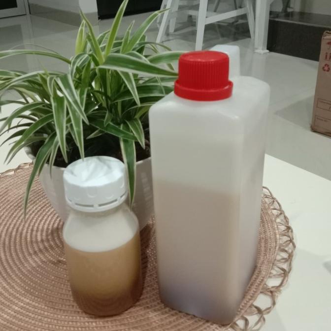 

SALE NOW MADU BADUY SUPER 1KG ORIGINAL