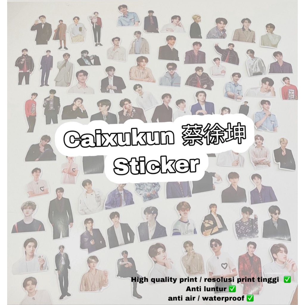 Jual Sticker Caixukun Idol Producer Ninepercent Cai Xukun Stiker Anti Luntur Waterproof 1163