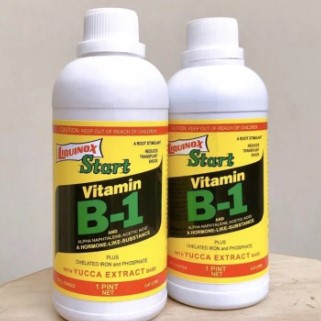 Vitamin B1 Khusus Tanaman Pupuk Liquinox B1 Start Vitamin B1 470 ML