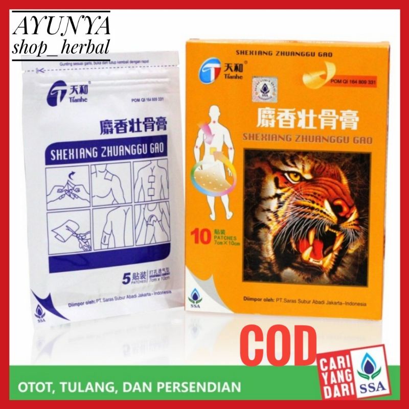 TIANHE SHEXIANG ZHUANGGU GAO 10's Koyo Rematik Nyeri Sendi Otot - Koyo Cina AYUNYASHOPHERBAL