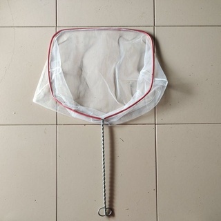 seser serok ikan hias ikan air tawar ikan air laut ukuran 30cm murah